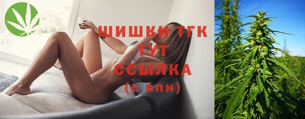 молекула духа Приозерск
