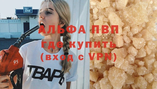 молекула духа Приозерск