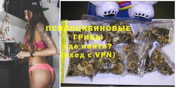 молекула духа Приозерск