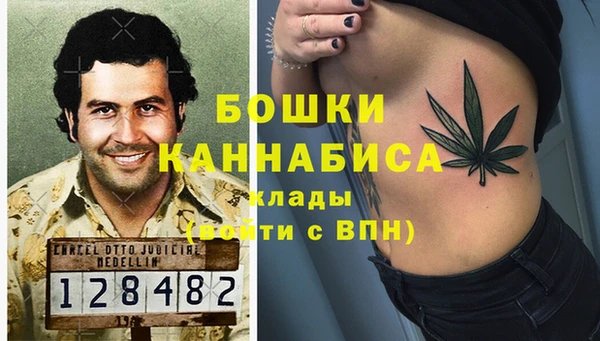 сатива Пролетарск