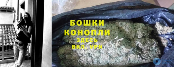 сатива Пролетарск