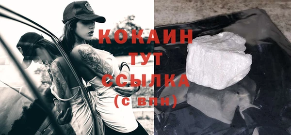 ПСИЛОЦИБИНОВЫЕ ГРИБЫ Данков