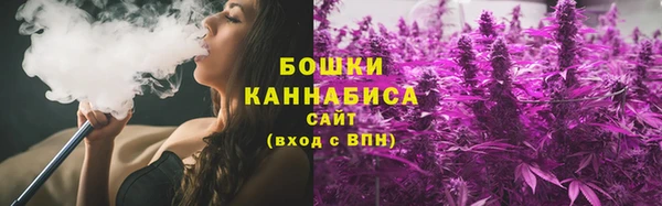 сатива Пролетарск