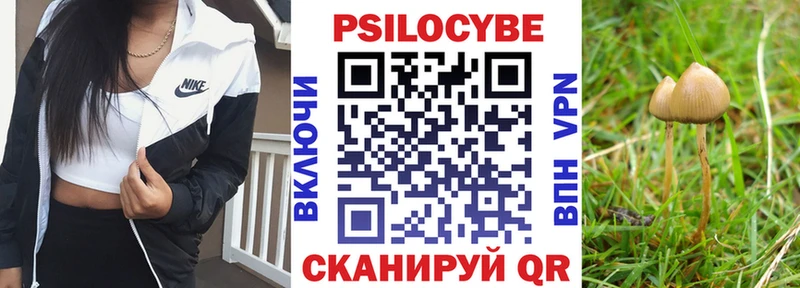 цена наркотик  Алексин  Псилоцибиновые грибы Magic Shrooms 