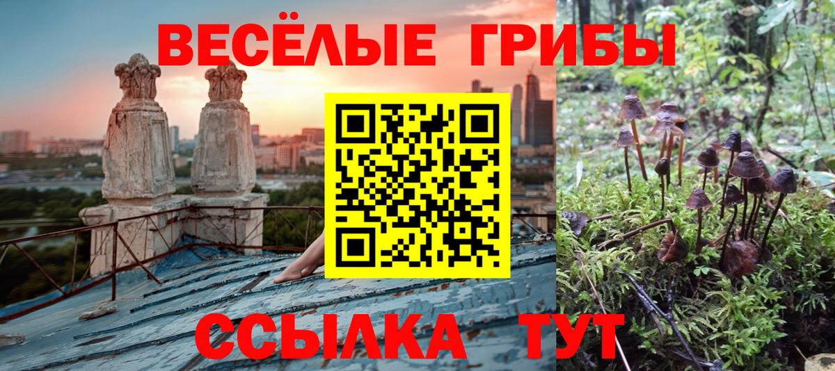 Галлюциногенные грибы мицелий  Вход с VPN  купить   Алексин 